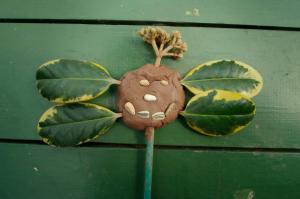 Plant face from the Wildflower platnting day in Hyde Park Orchard