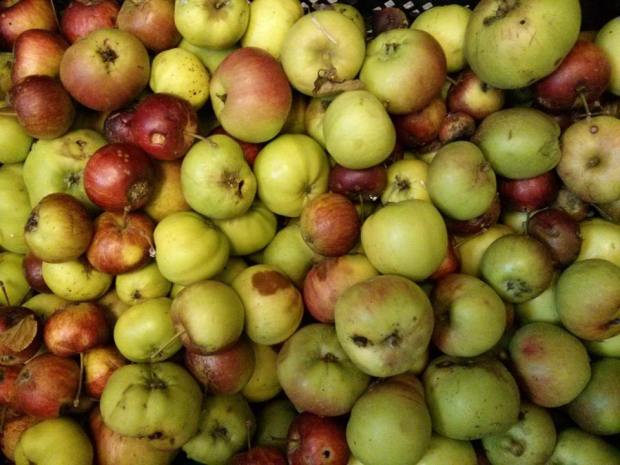 Abundance Tameside session - Saturday14th September 2013 