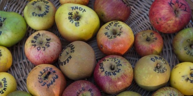 Zones of Inattention