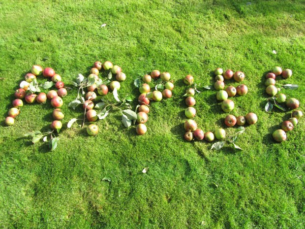 Apples spelt with apples pic