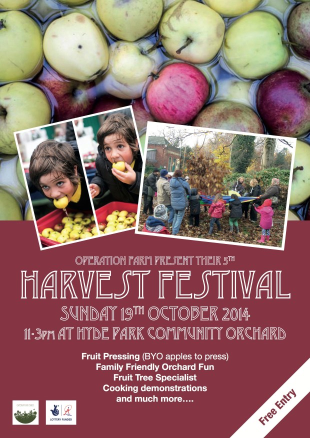 Scarecrow and Harvest Festival 2014 - back