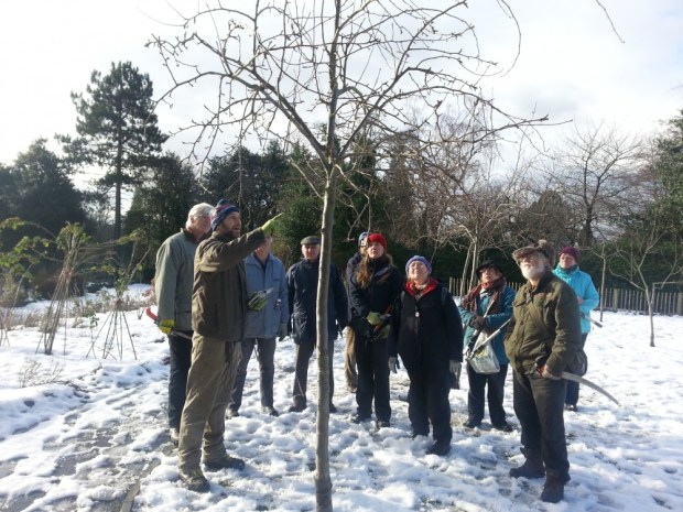 OperationFarm_projects