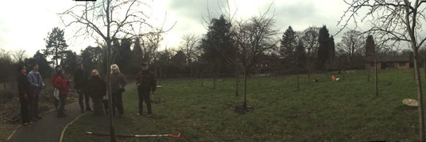 Community Orchard 2